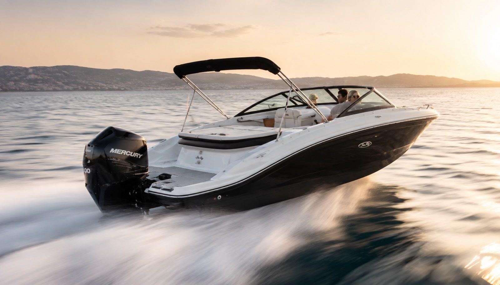 Sea Ray SPX 210 7